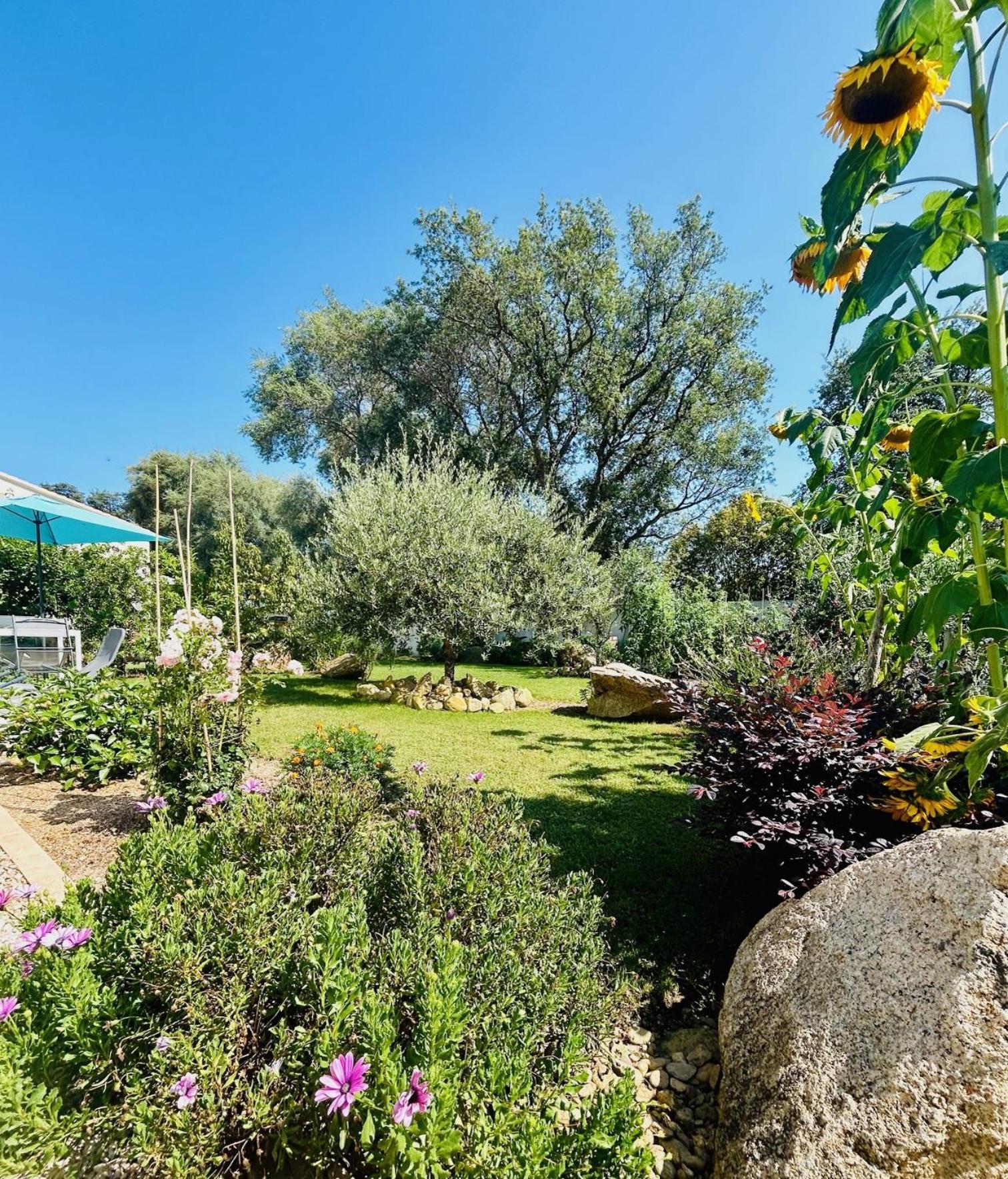 Mini Villa Pascal Paoli Avec Piscine - Proche Mer Prunelli-di-Fiumorbo Exterior foto